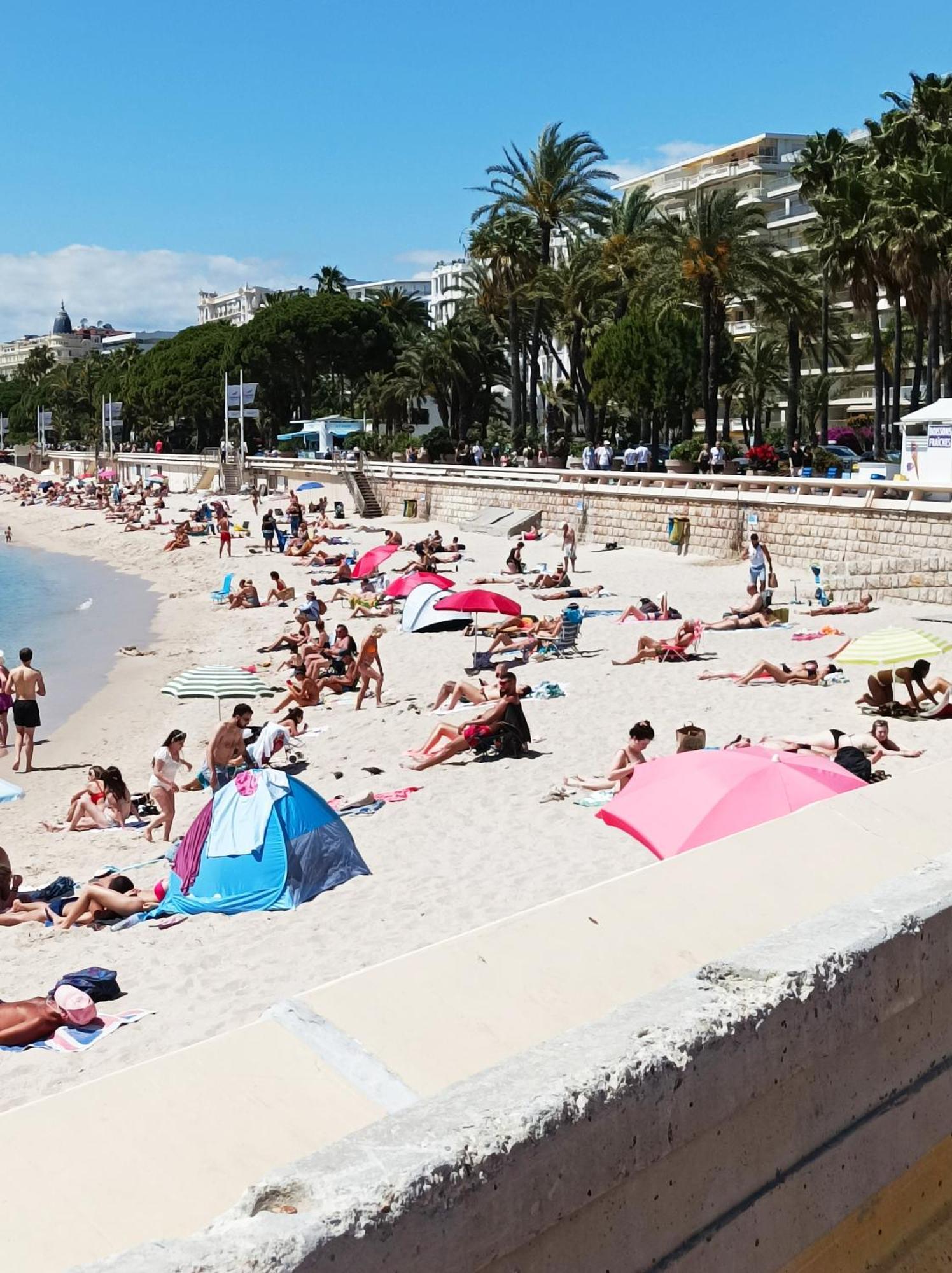 Le Salvator Lägenhet Cannes Exteriör bild